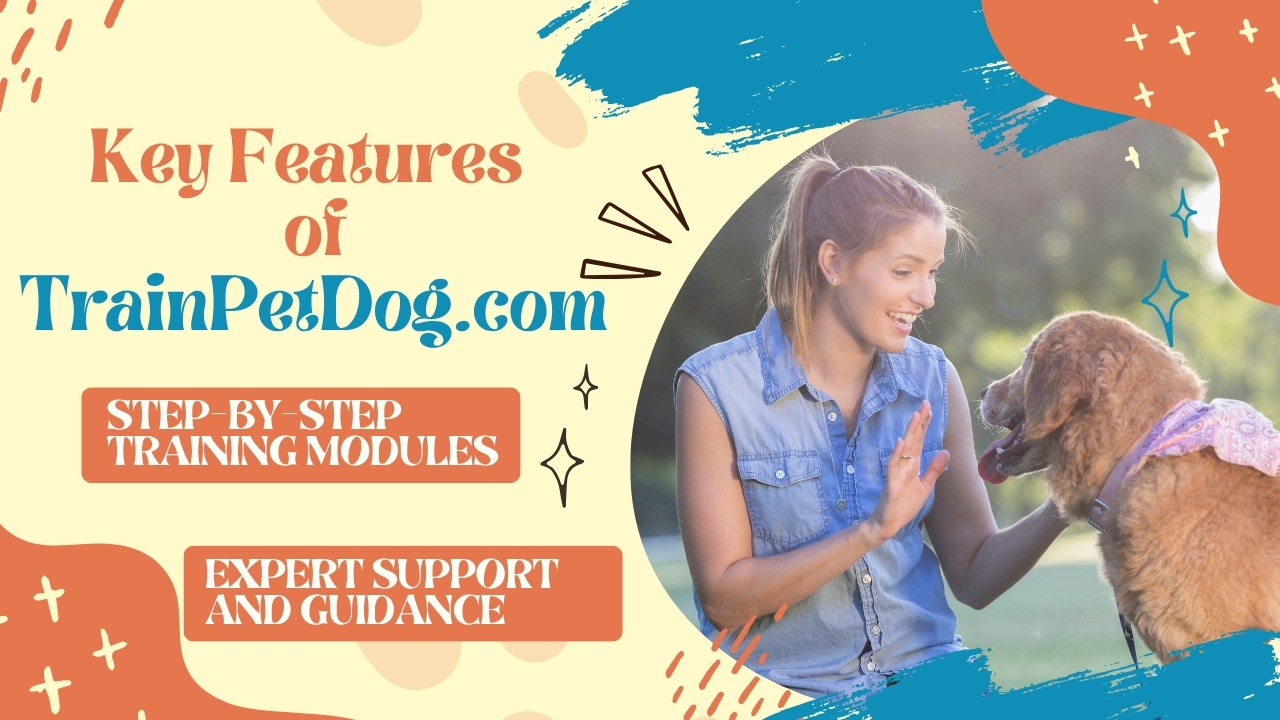 Experience Effective Training Methods at TrainPetDog.com