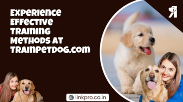 Experience Effective Training Methods at TrainPetDog.com