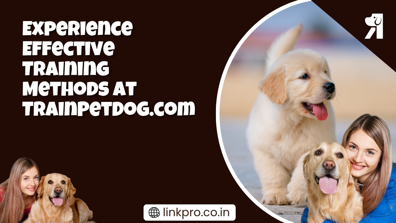 Experience Effective Training Methods at TrainPetDog.com