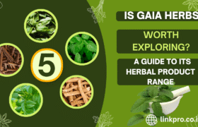 Is Gaia Herbs Worth Exploring? A Guide to Its Herbal Product Range